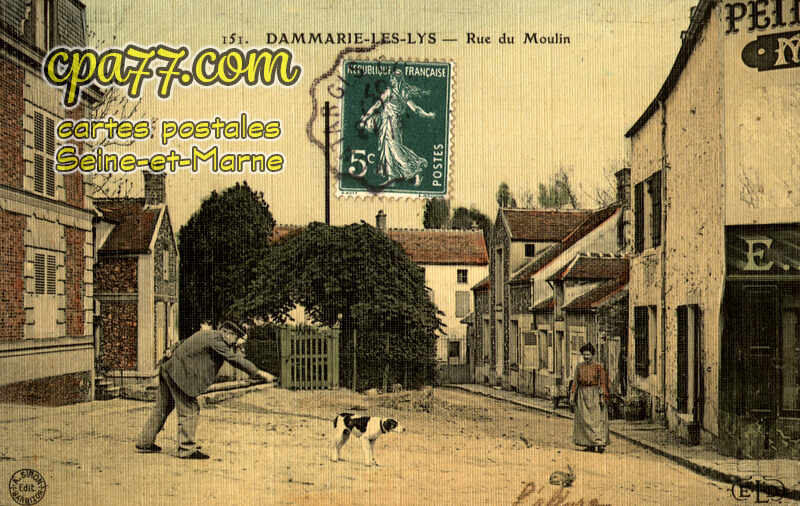 Dammarie Les Lys (Seine-et-Marne) - Rue du Moulin