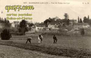 Dammarie Les Lys (Seine-et-Marne) - Vue de Farcy-les-Lys