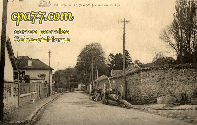 Dammarie Les Lys (Seine-et-Marne) - Farcy – Avenue du Lys