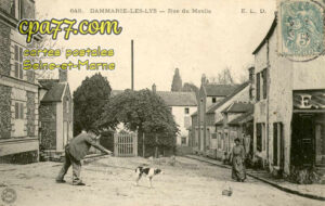 Dammarie Les Lys (Seine-et-Marne) - Rue du Moulin