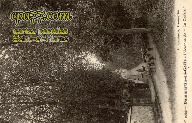 Dammartin En Goêle (Seine-et-Marne) - L&rsquo;Avenue de  » La Corbie « 