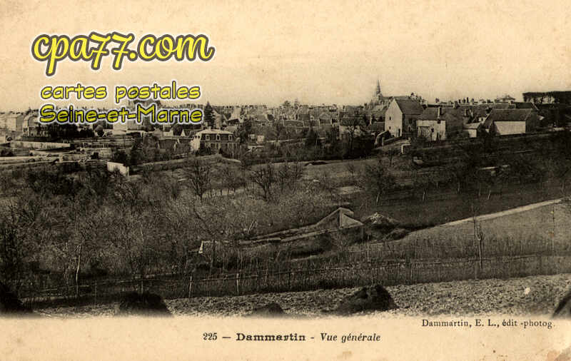 Dammartin En Goêle (Seine-et-Marne) - Vue générale