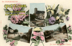 Dammartin En Goêle (Seine-et-Marne) - Je vous envoie ces fleurs