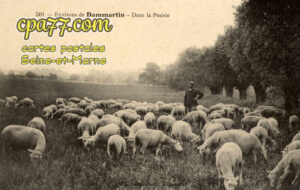 Dammartin En Goêle (Seine-et-Marne) - Environs de Dammartin – Dans la Prairie