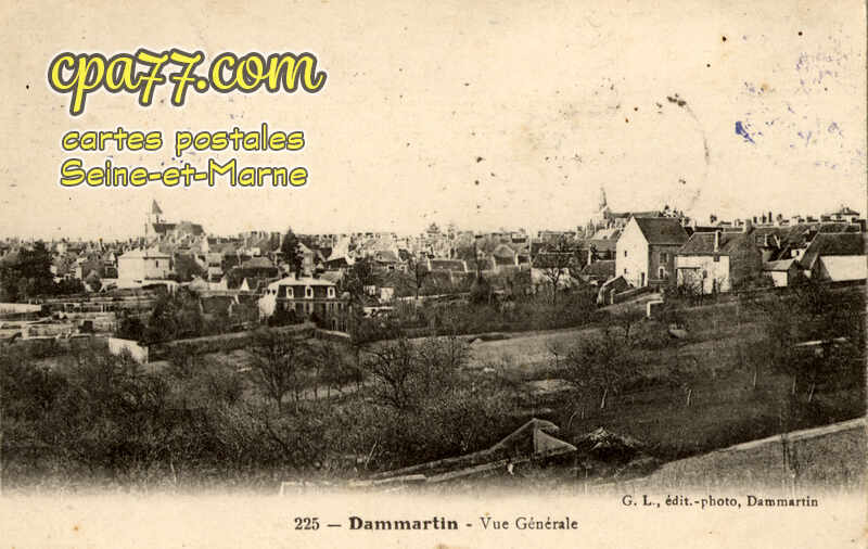 Dammartin En Goêle (Seine-et-Marne) - Vue générale