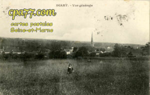Diant (Seine-et-Marne) - Vue générale