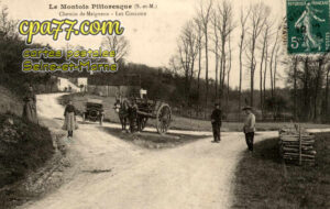 Donnemarie Dontilly (Seine-et-Marne) - Chemin de Meigneux – Les Couloux