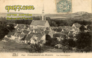 Donnemarie Dontilly (Seine-et-Marne) - Vue panoramique