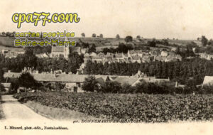 Donnemarie Dontilly (Seine-et-Marne) - Vue générale