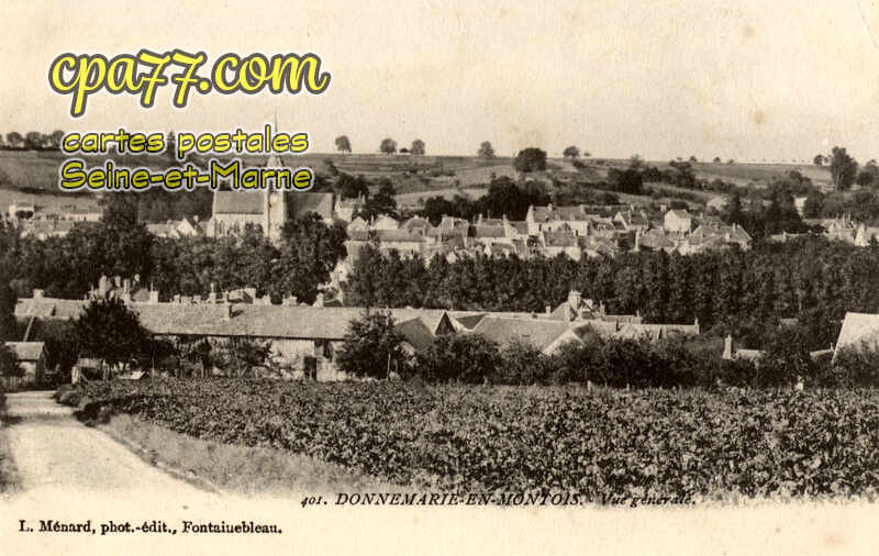 Donnemarie Dontilly (Seine-et-Marne) - Vue générale