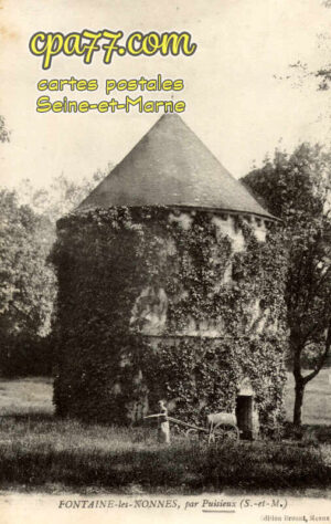 Douy La Ramée (Seine-et-Marne) - Fontaine-les-Nonnes, par Puisieux