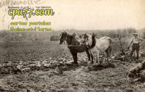 Émerainville (Seine-et-Marne) - Malnoue – Vue Générale