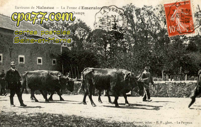 Émerainville (Seine-et-Marne) - Environs de Malnoue – La Ferme d&rsquo;Emerainville – Départ pour les Champs