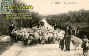 Esbly (Seine-et-Marne) - Route de Meaux