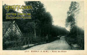 Éverly (Seine-et-Marne) - Route des Ormes