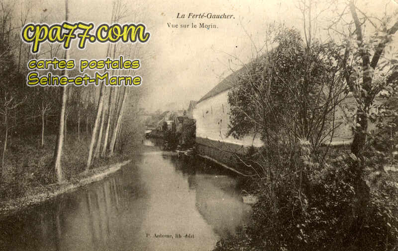 La Ferté Gaucher (Seine-et-Marne) - Vue sur le Morin