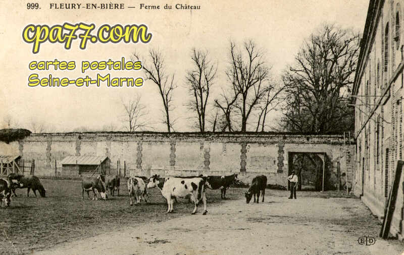 Fleury En Bière (Seine-et-Marne) - Ferme du Château