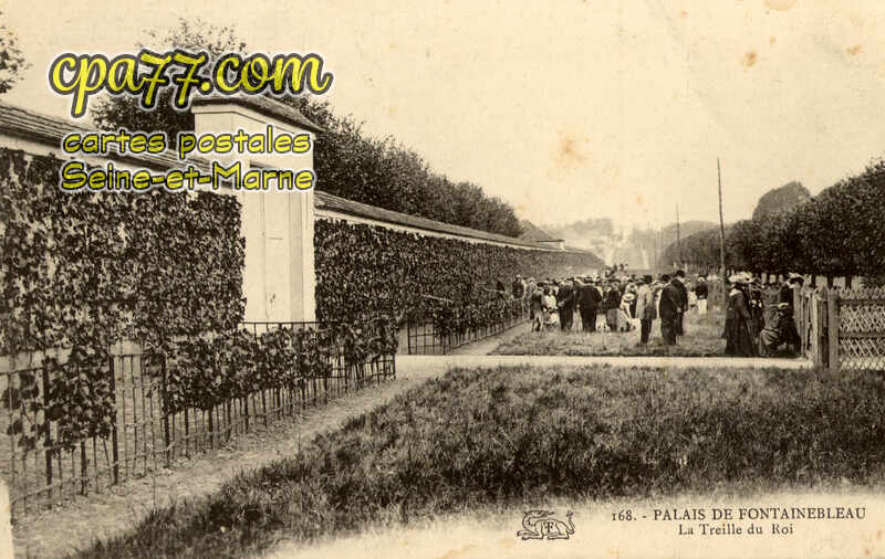 Fontainebleau (Seine-et-Marne) - Le Palais – La Treille du Roi