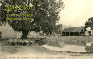 Fontaine Le Port (Seine-et-Marne) - Cour de ferme à Massouris