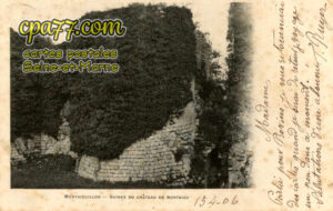 Fontaine Sous Montaiguillon (Seine-et-Marne) - Montaiguillon – Ruines du Château de Montaigu