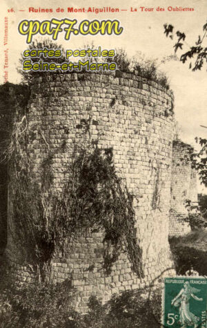 Fontaine Sous Montaiguillon (Seine-et-Marne) - La Tour des Oubliettes