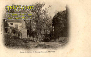 Fontaine Sous Montaiguillon (Seine-et-Marne) - Ruines du Château de Montaiguillon, près Provins