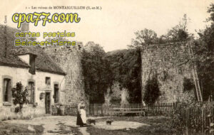 Fontaine Sous Montaiguillon (Seine-et-Marne) - Les Ruines de Montaiguillon