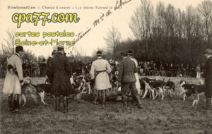 Fontenailles (Seine-et-Marne) - Chasse à courre – Les chiens flairant le cerf