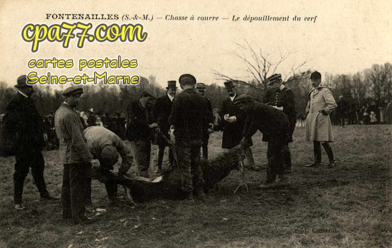 Fontenailles (Seine-et-Marne) - Chasse à Courre – Le Dépouillement du cerf