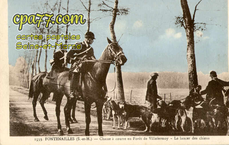 Fontenailles (Seine-et-Marne) - Chasse à Courre en Fôret de Villefermoy – Le lancer des chiens