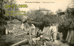 Fontenay Trésigny (Seine-et-Marne) - Eplucheuses d&rsquo;Osier