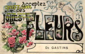 Gastins (Seine-et-Marne) - Acceptez ces jolies fleurs de Gastins