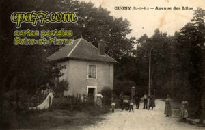 La Genevraye (Seine-et-Marne) - Avenue des Lilas