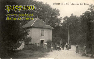 La Genevraye (Seine-et-Marne) - Cugny – Avenue des Lilas