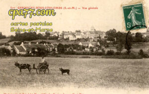 Germigny Sous Coulombs (Seine-et-Marne) - Vue générale