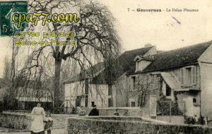 Gouvernes (Seine-et-Marne) - Le Frêne Pleureur