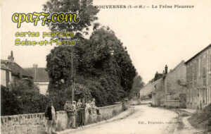 Gouvernes (Seine-et-Marne) - Le Frêne Pleureur