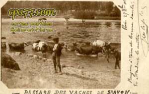 Gravon (Seine-et-Marne) - Passage des vaches