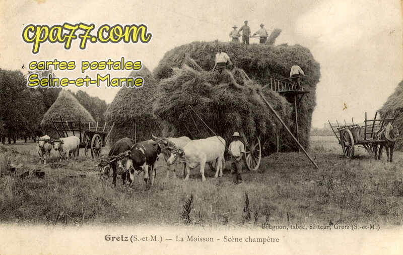 Gretz Armainvilliers (Seine-et-Marne) - La Moisson – Scène champêtre