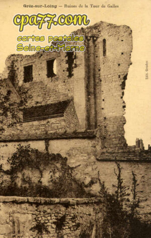 Grez Sur Loing (Seine-et-Marne) - Ruines de la Tour des Galles