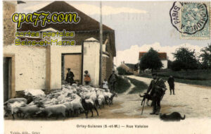 Grisy Suisnes (Seine-et-Marne) - Rue Valoise