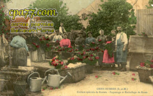 Grisy Suisnes (Seine-et-Marne) - Culture spéciale de Rosiers – Paquetage et Emballage de Roses