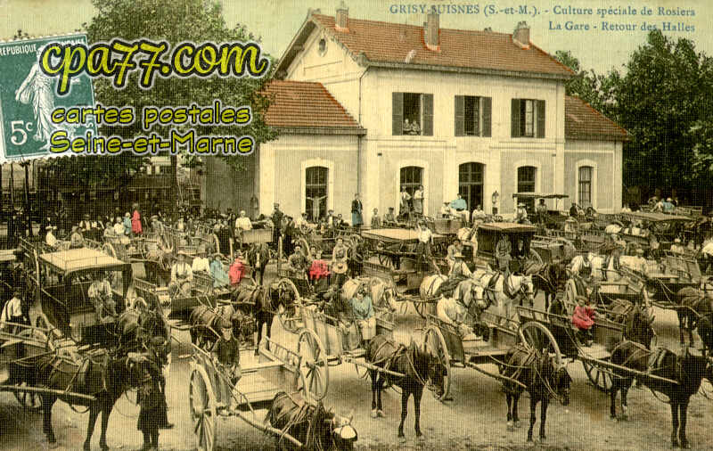 Grisy Suisnes (Seine-et-Marne) - Culture spéciale de Rosiers – La Gare – Retour des Halles