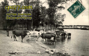 Grisy Sur Seine (Seine-et-Marne) - L&rsquo;Abreuvoir