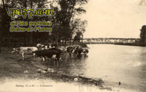 Grisy Sur Seine (Seine-et-Marne) - L&rsquo;Abreuvoir