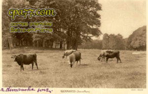Guermantes (Seine-et-Marne) - Guermantes