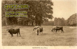 Guermantes (Seine-et-Marne) - Guermantes