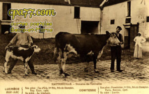 Hautefeuille (Seine-et-Marne) - Domaine des Tournelles