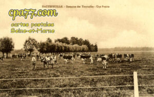 Hautefeuille (Seine-et-Marne) - Domaine de Tournelles – Une prairie