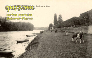 Héricy (Seine-et-Marne) - Les Bords de la Seine